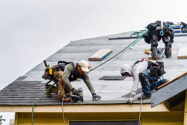 Professional Gutter Installation technician working in Edgewood, NM